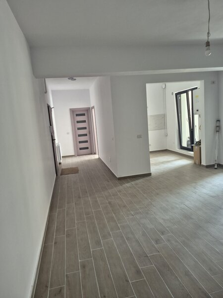 Titan, Pallady, Nicolae Teclu.