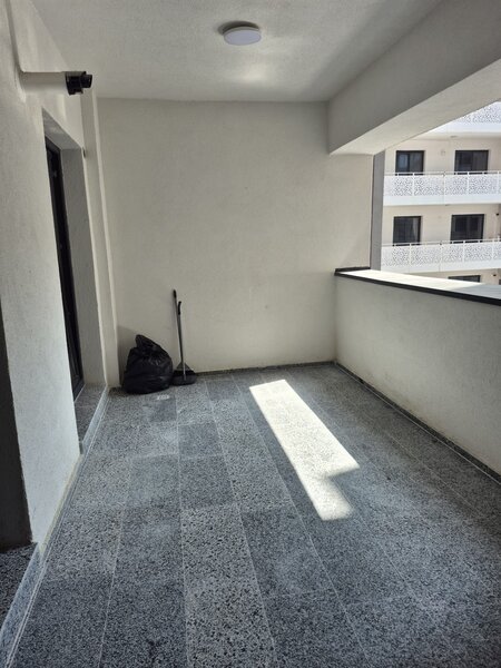 Titan, Pallady, Nicolae Teclu.